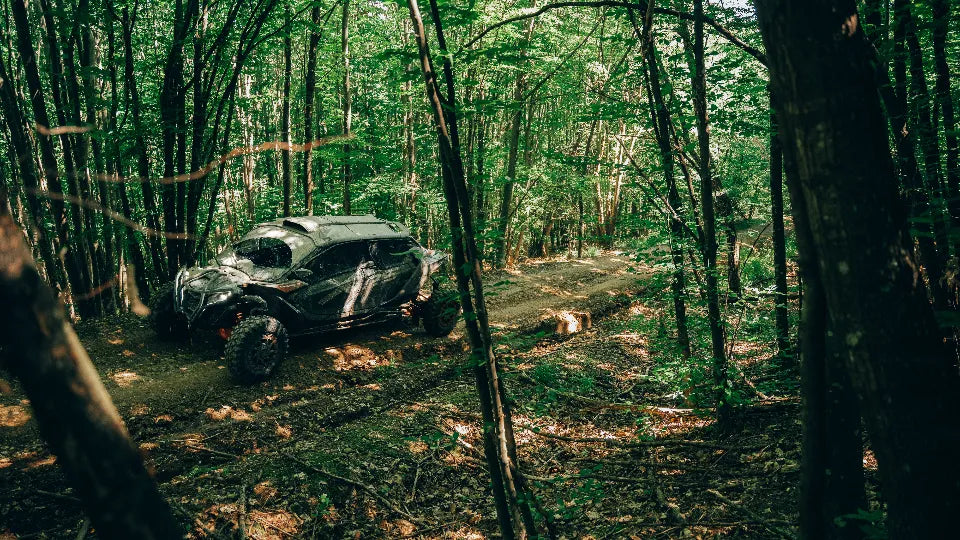 Forest UTV Adventure for Two or Three near Varna