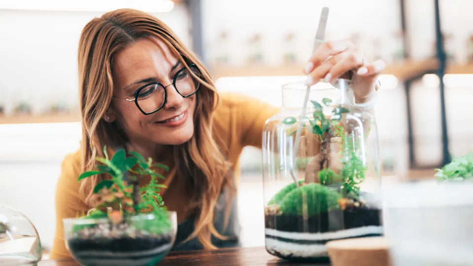 Bonsai and Tropical Plant Terrarium Workshop