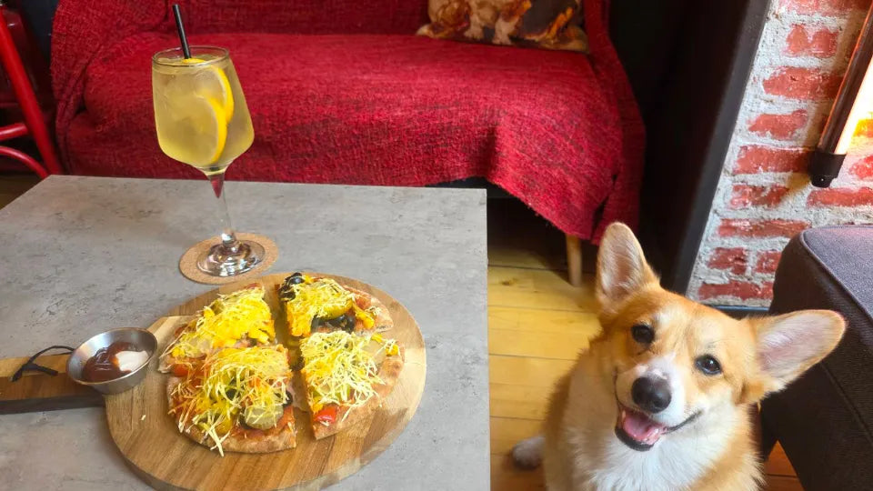 Pizzas and Lemonades for Two with Corgis