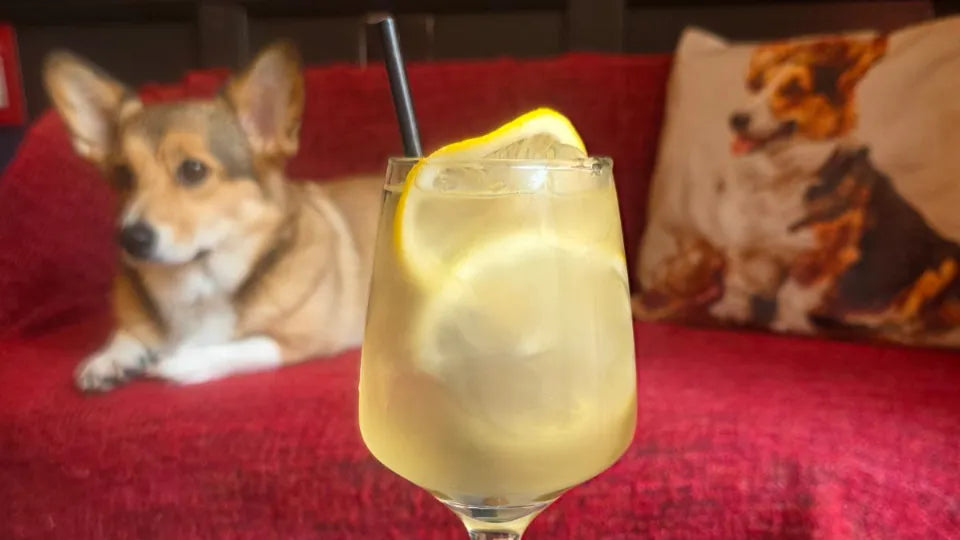 Desserts and Cocktails for Two with Corgis