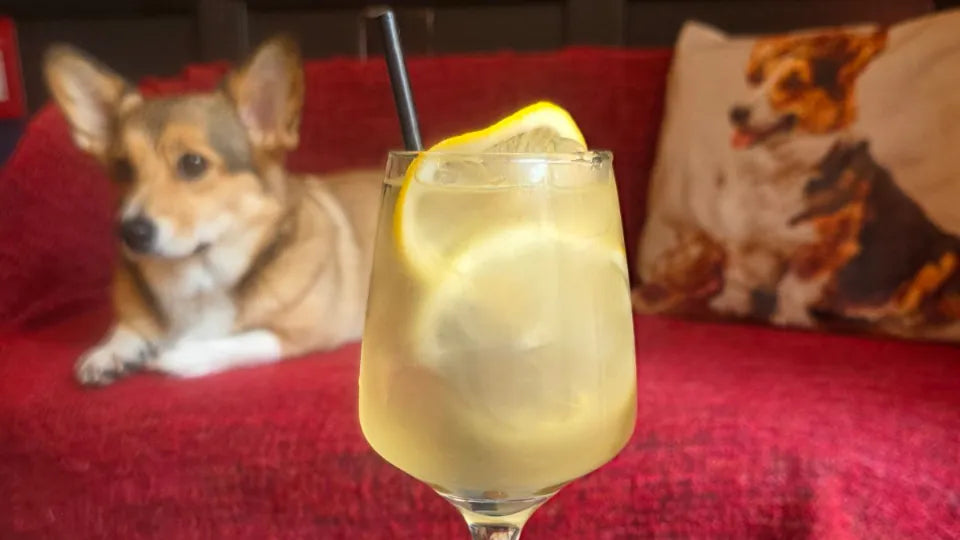 Cocktails for Two with Corgis