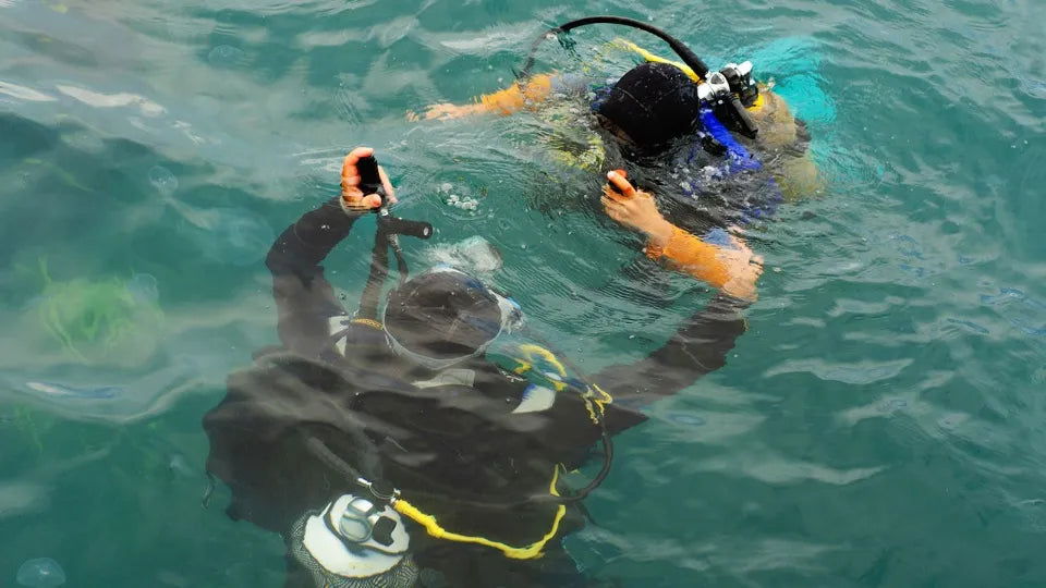Гмуркане с акваланг + видео заснемане в Созопол гр. Созопол