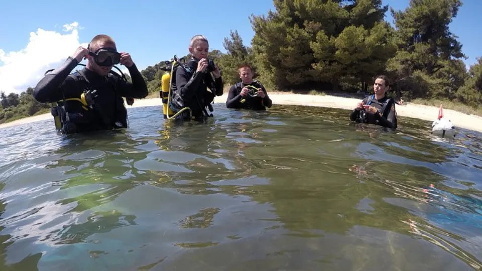 Guided underwater tour in the clear waters near Nikiti, Halkidiki