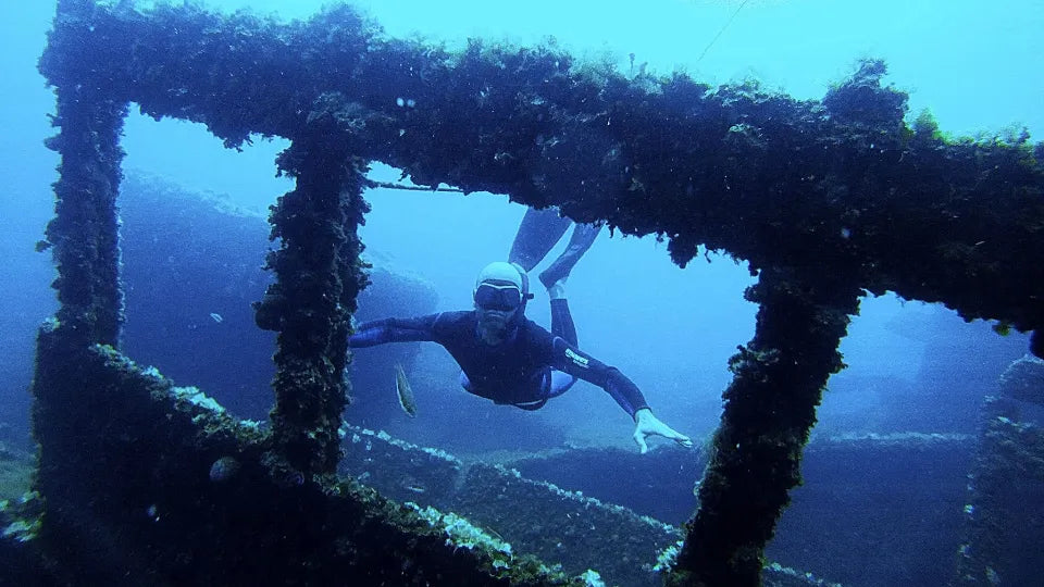 Тридневен курс по свободно гмуркане - Никити, Гърция ваучер