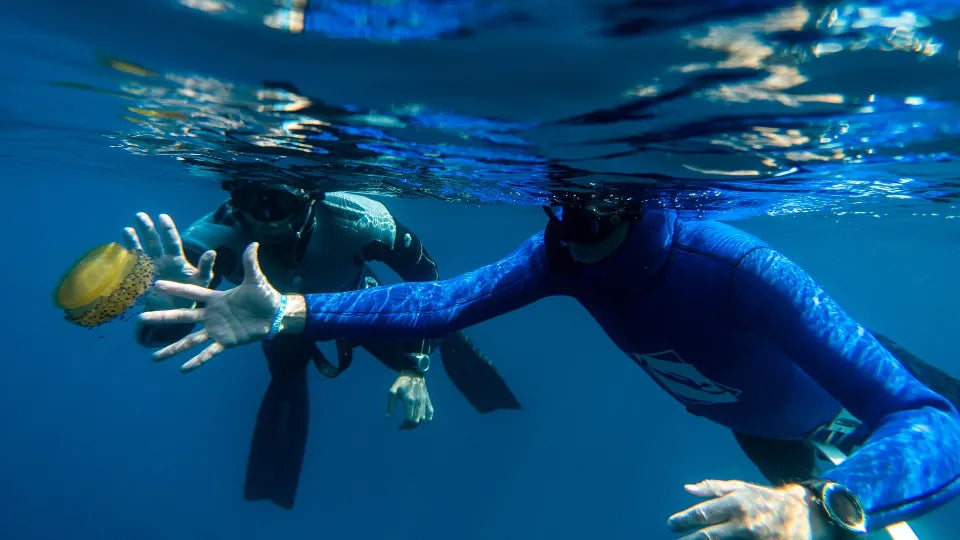 Participant on a controlled AIDA 2 line dive in the Aegean