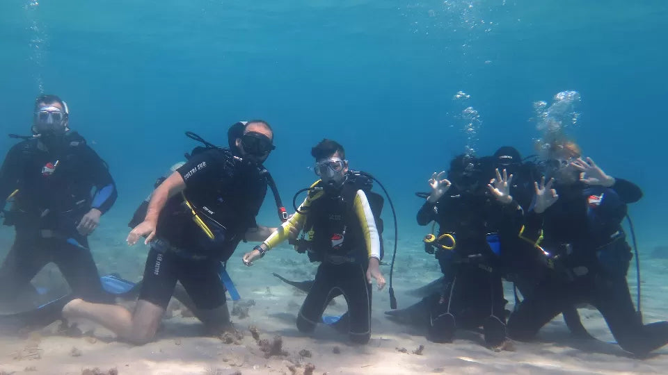 Гмуркане с акваланг с безплатно HD подводно видео в Никити Яхтинг и водни спортове