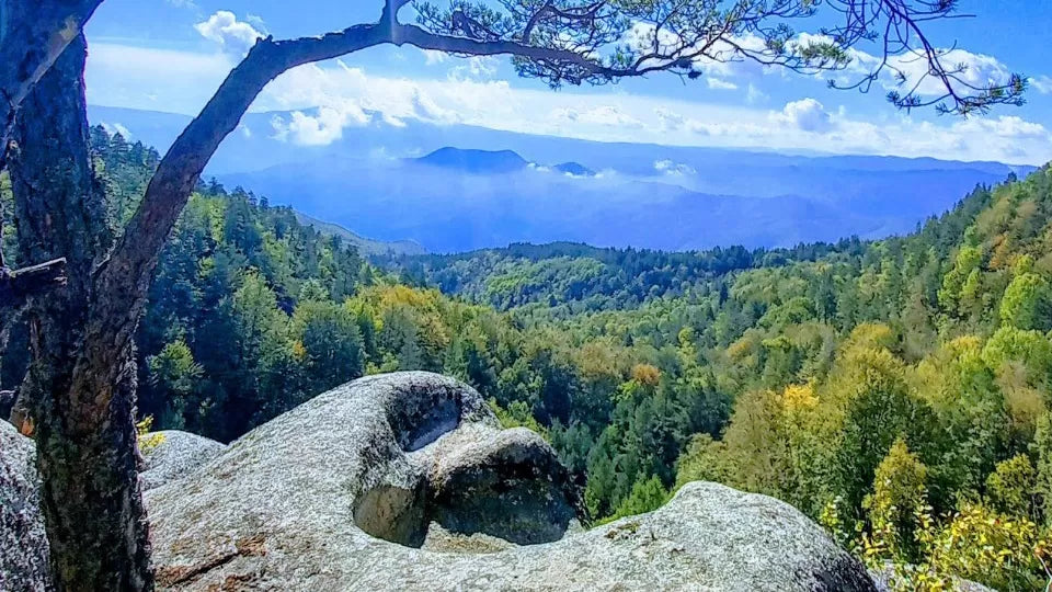 Voucher for Thracian route jeep safari in Velingrad