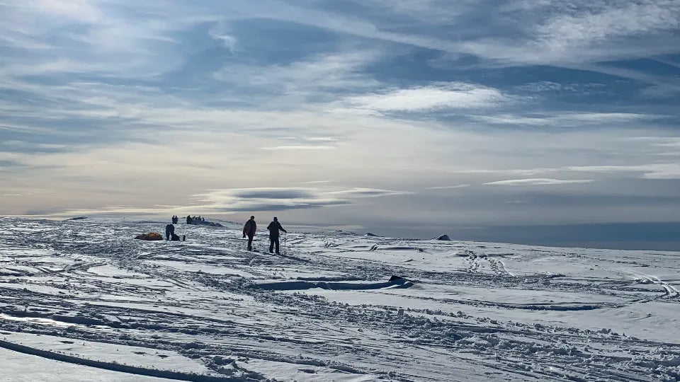 Преход със снегоходки Витоша