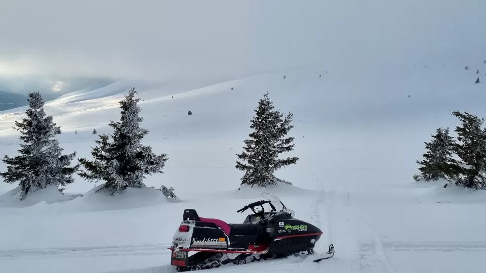 Adrenaline snowmobile route in the Petrohan area