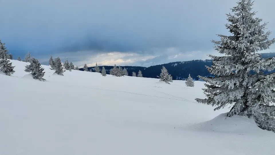 Snowmobile rider near Kom Peak on the Petrohan pass