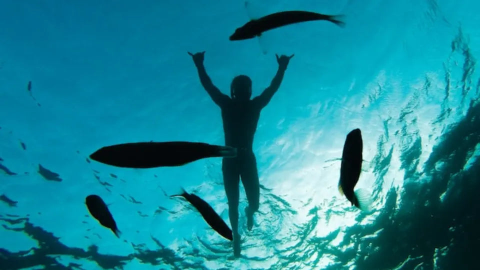 Underwater video during snorkeling in Nessebar (conditions permitting)