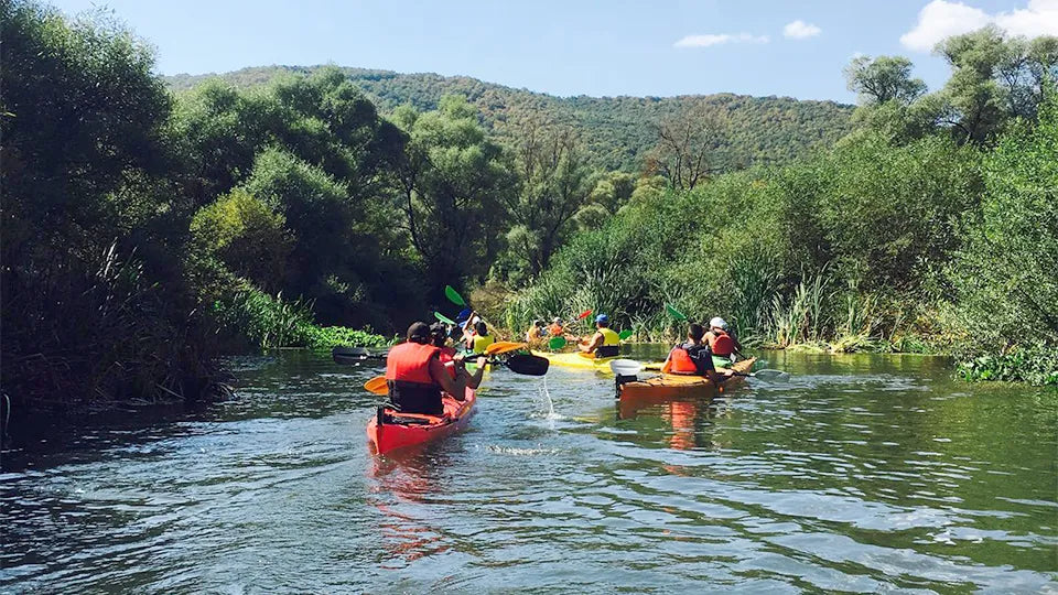 One‑day calm‑water kayaking on a lake of your choice