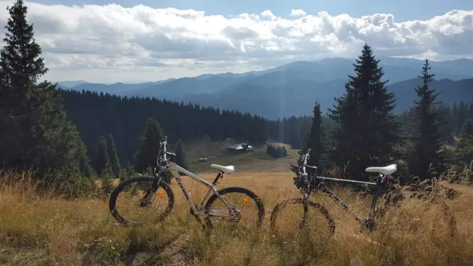 Маунтинбайк под наем