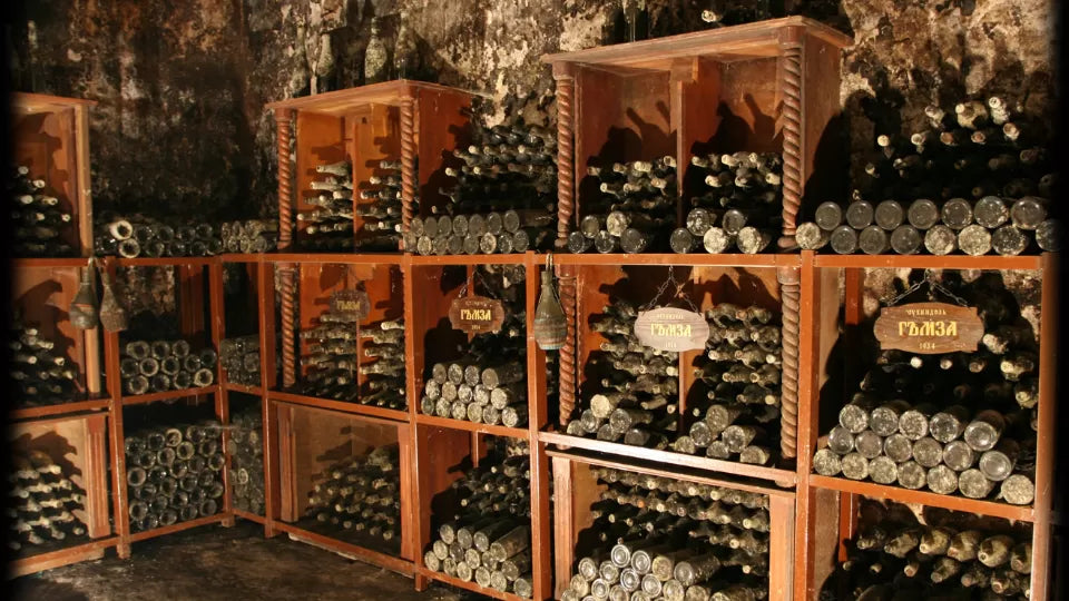 Tour of a historic winery near Veliko Tarnovo with large casks