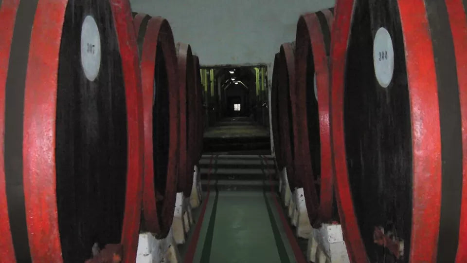 Guided wine tasting at a wine center on the Crafts Street, Veliko Tarnovo