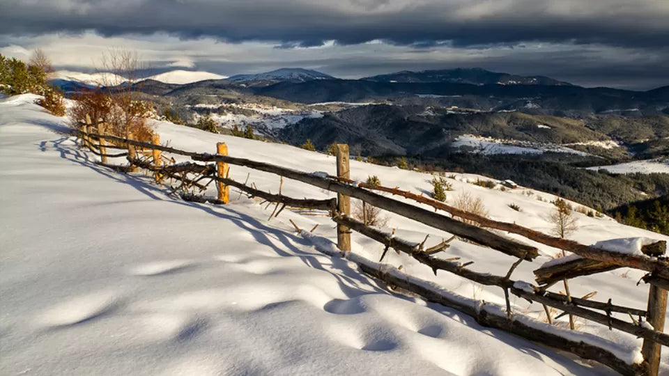 Моторна шейна на Витоша ваучер