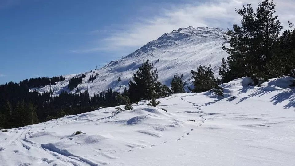 Group snowmobile tour on Vitosha with views toward Rila