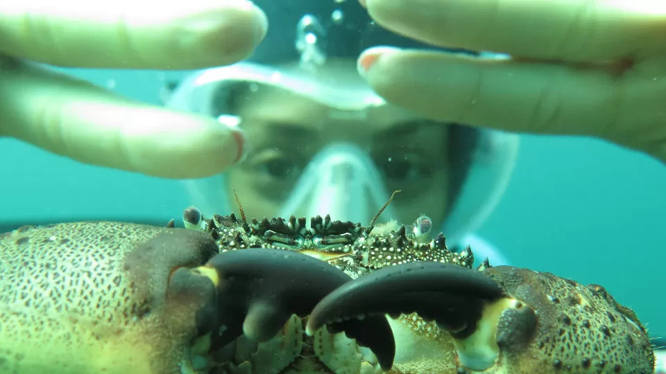 Surfacing after a beginner boat dive near St. Ivan Island