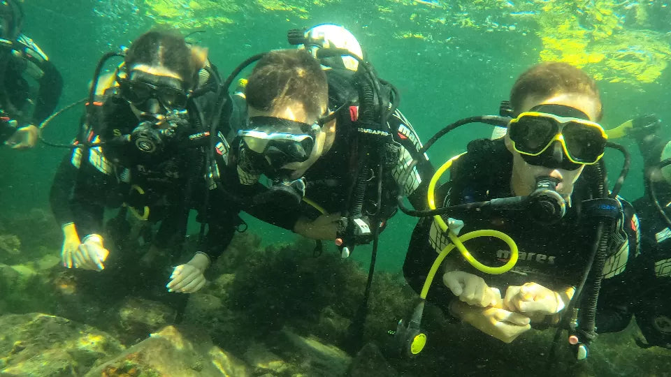 Group diving experience with instructor to St. Ivan Island, Sozopol