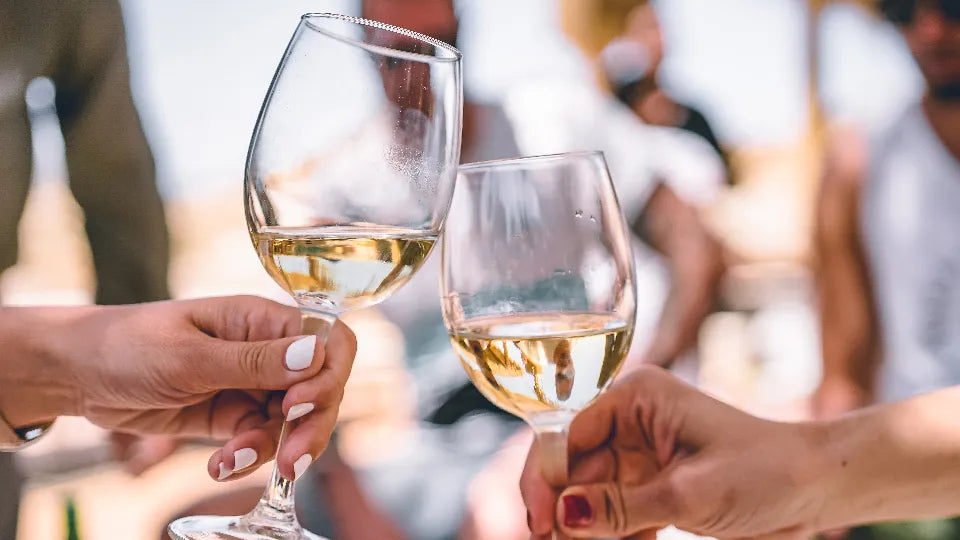 Wine Tasting in Karabunar Adventico