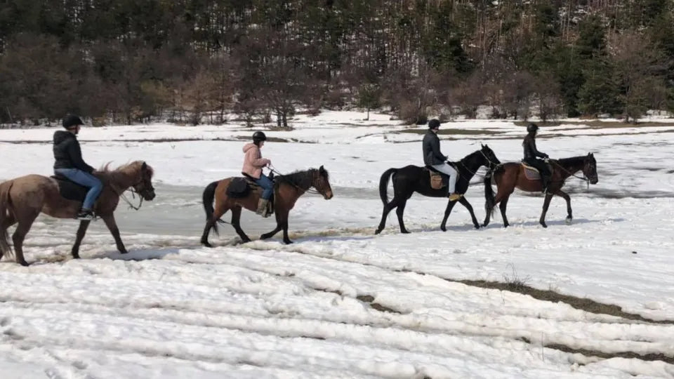 Voucher for horse riding in nature and archery in the Balkan Mountains