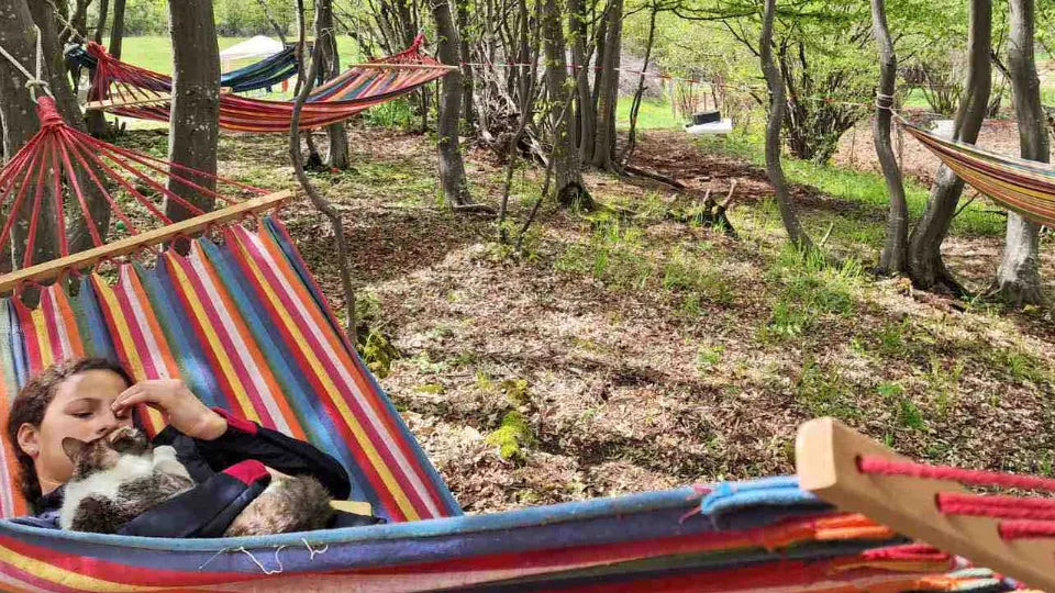 Horse riding in nature and archery in the Balkan Mountains, Svoge area