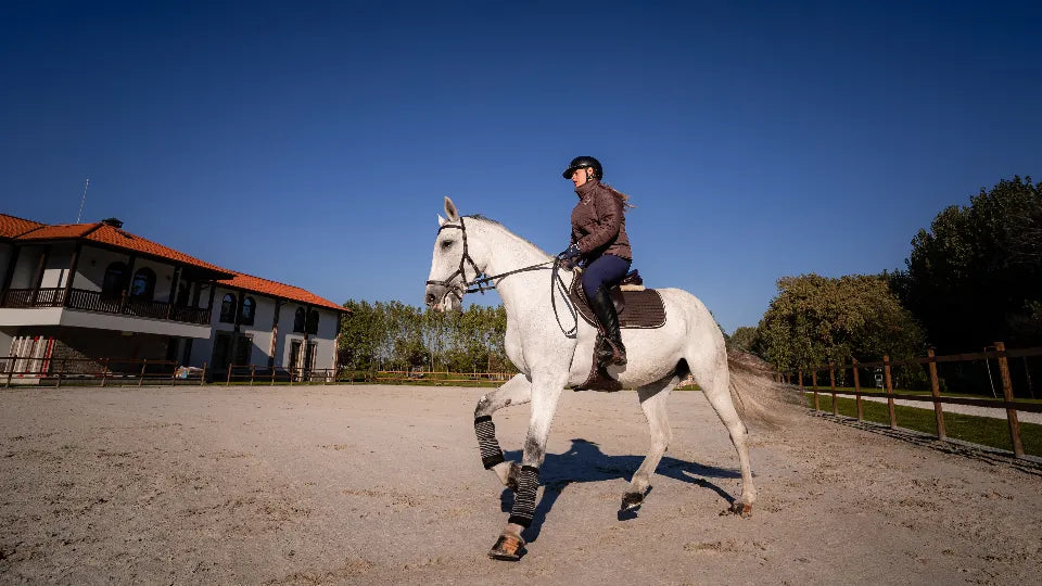 Spa and horseback riding voucher for two near Plovdiv