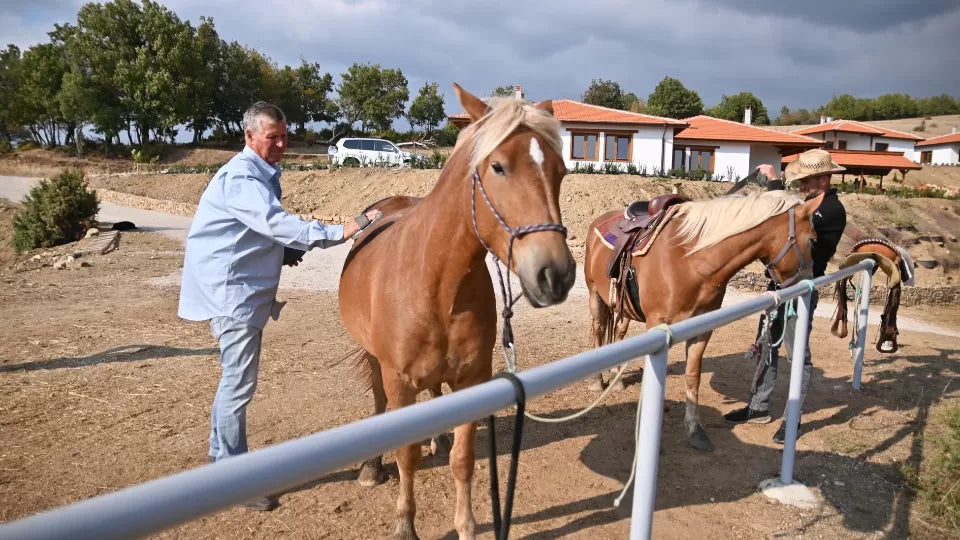 Gift voucher for a beginner horse riding lesson in Sandanski