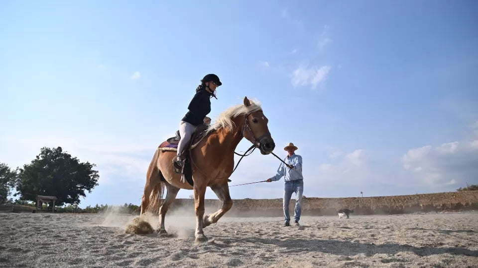 Разходка с кон сред природата