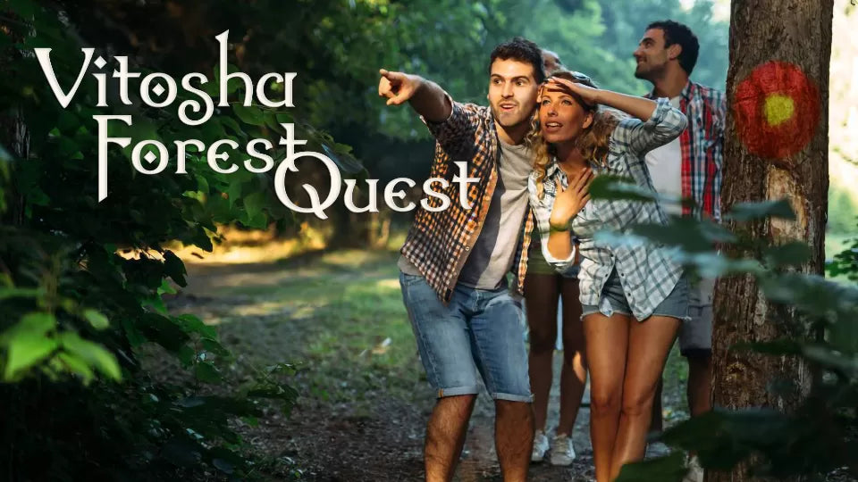 Forest Quest Vitosha – outdoor team quest in Sofia