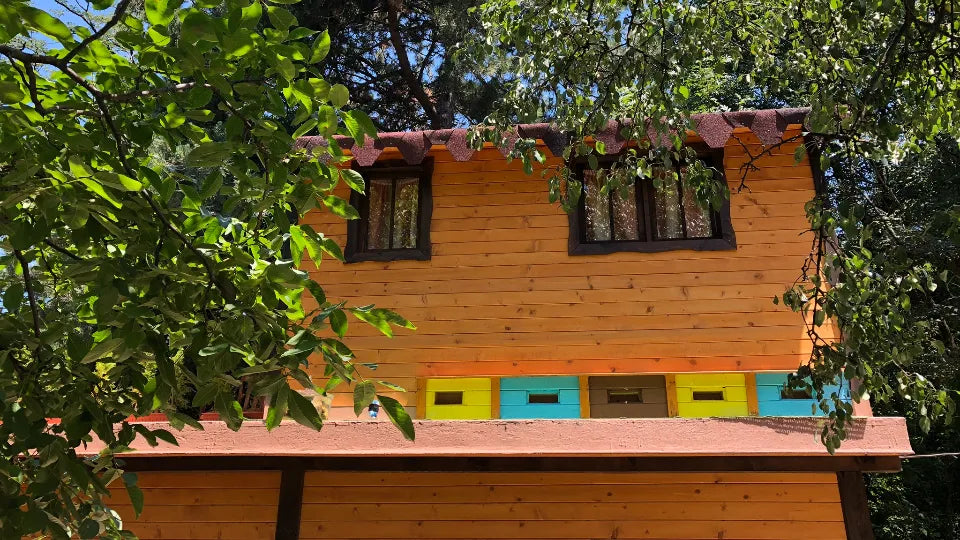 Инхалация с кошерен въздух Апитерапия в пчелна стая