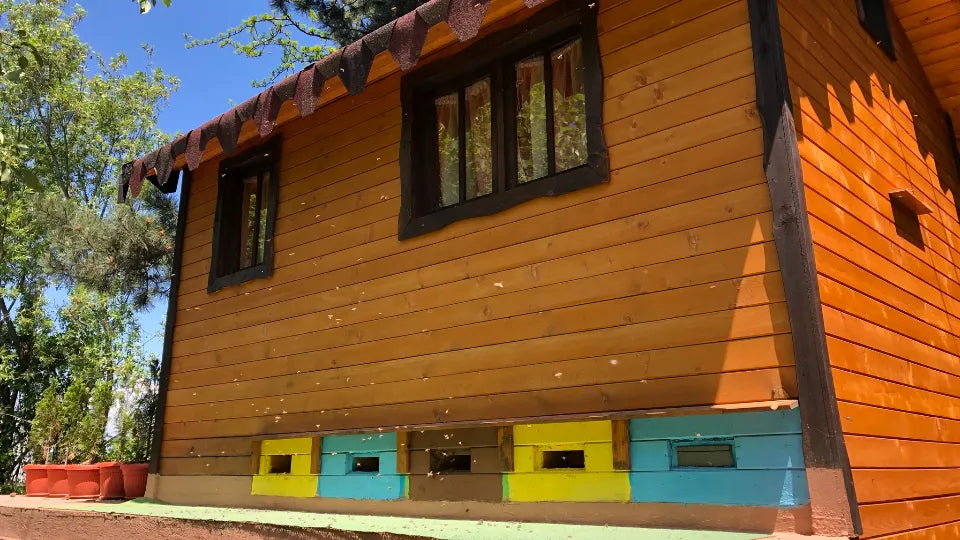 Gift voucher for apitherapy: bee room and inhalations in Sofia