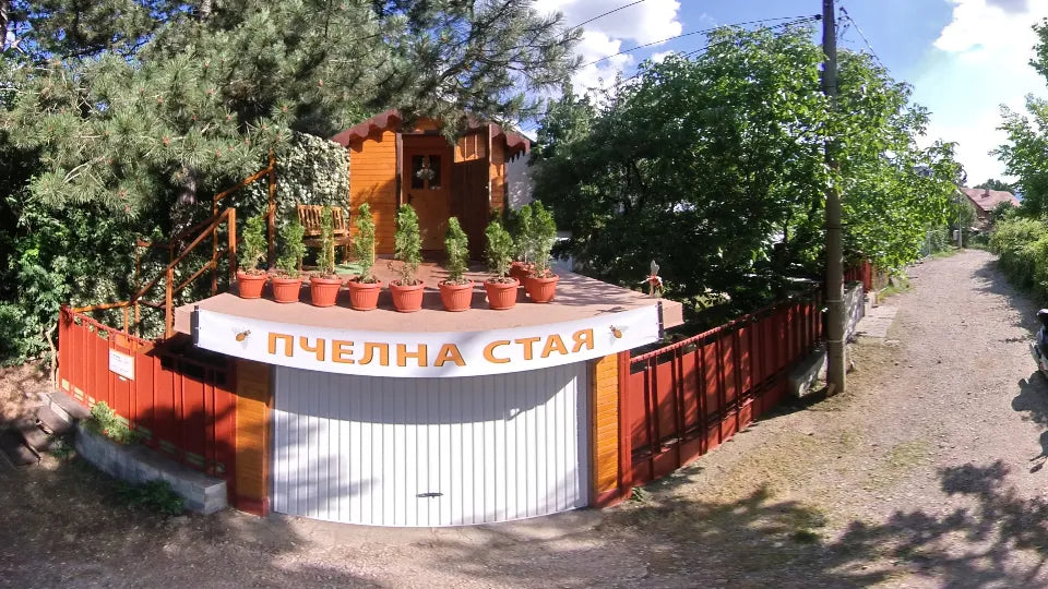 Propolis inhalation session in a bee room, Sofia Pavlovo