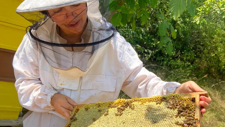 Shared apitherapy experience for two in a bee house, Sofia
