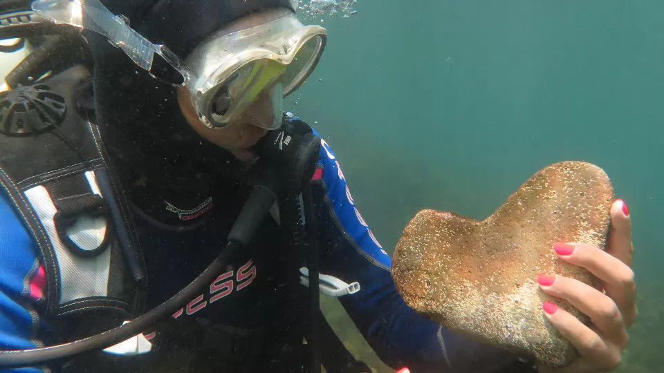 Underwater photos and video from a beginner dive in Sozopol lagoon