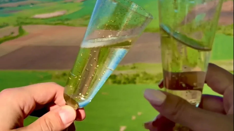 Hot air balloon for 2–4 near Sofia with sparkling wine
