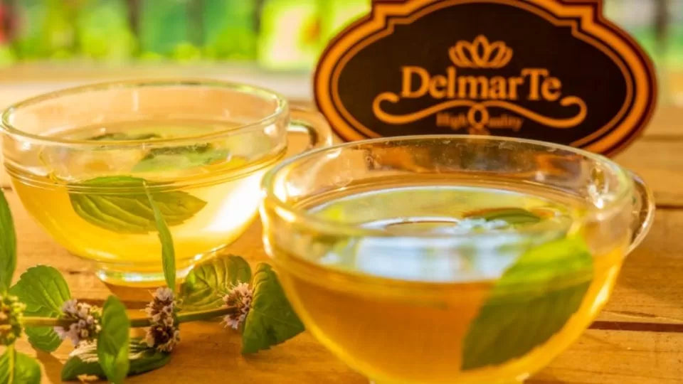 Guided tea tasting focusing on aroma and brewing – Sofia