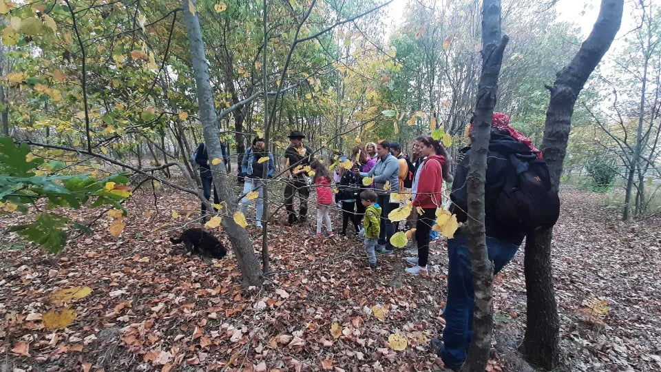 На лов за трюфели – приключенски гурме тур ваучер