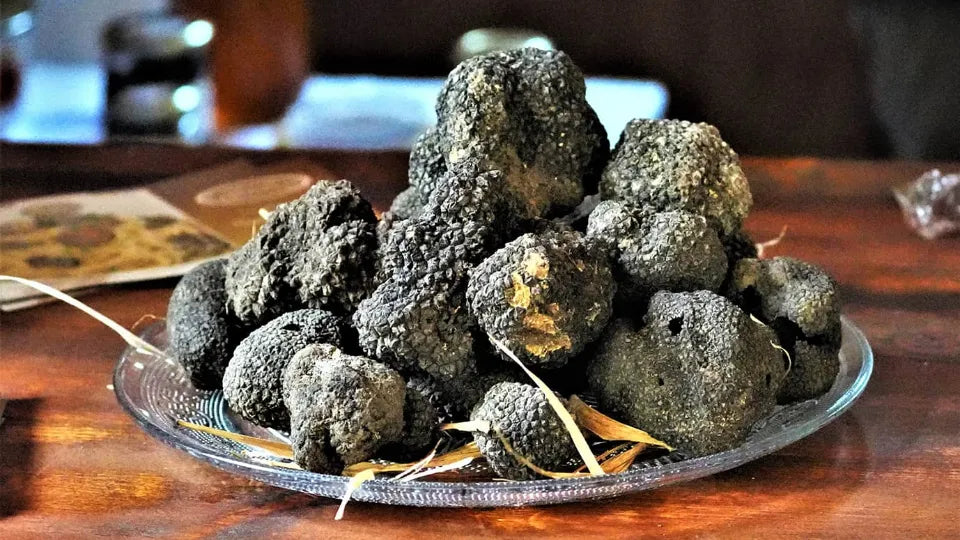 На лов за трюфели – приключенски гурме тур Активности на открито