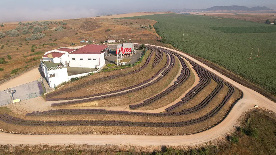 Wine and History Tour near Pomorie Adventico