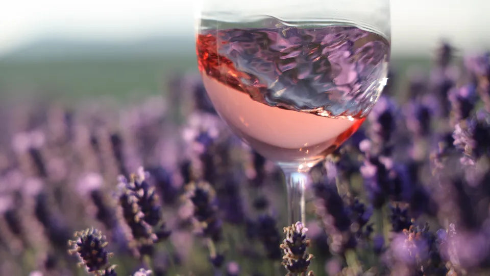Wine, History and Lavender Tour near Pomorie Adventico