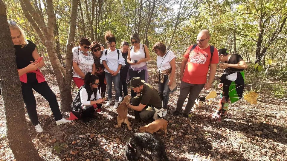 Тиймбилдинг с дегустация и лов на трюфели за до 7 души