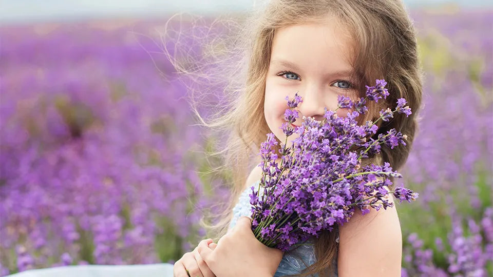 Lavender tasting in Nessebar among lavender terraces