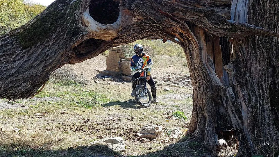 Sur‑Ron Light Bee electric dirt bike on a forest path near Vratsa
