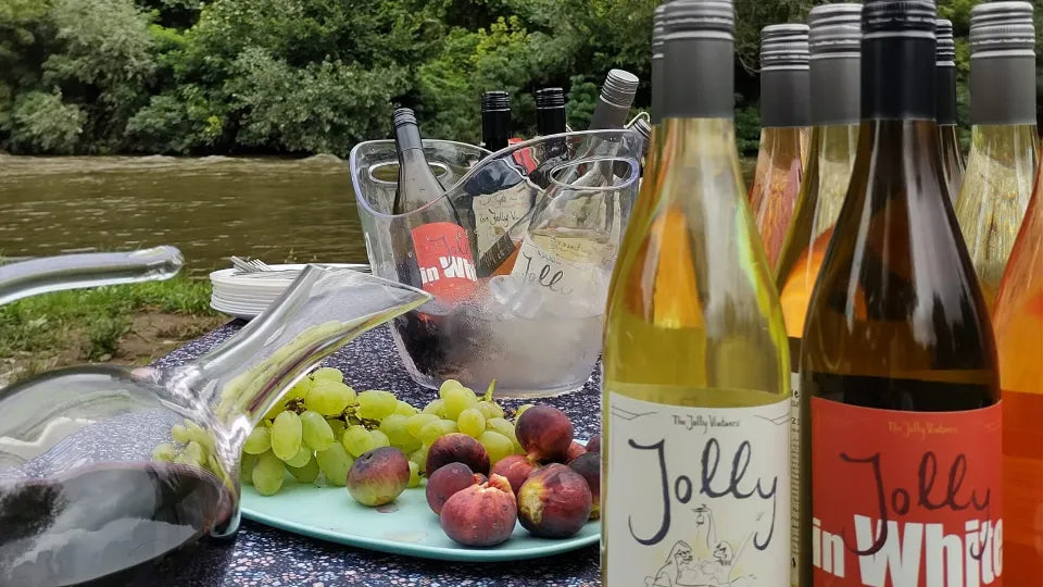 Весел пикник с местни вина и храни край Искър, срещу Ритлите район Враца