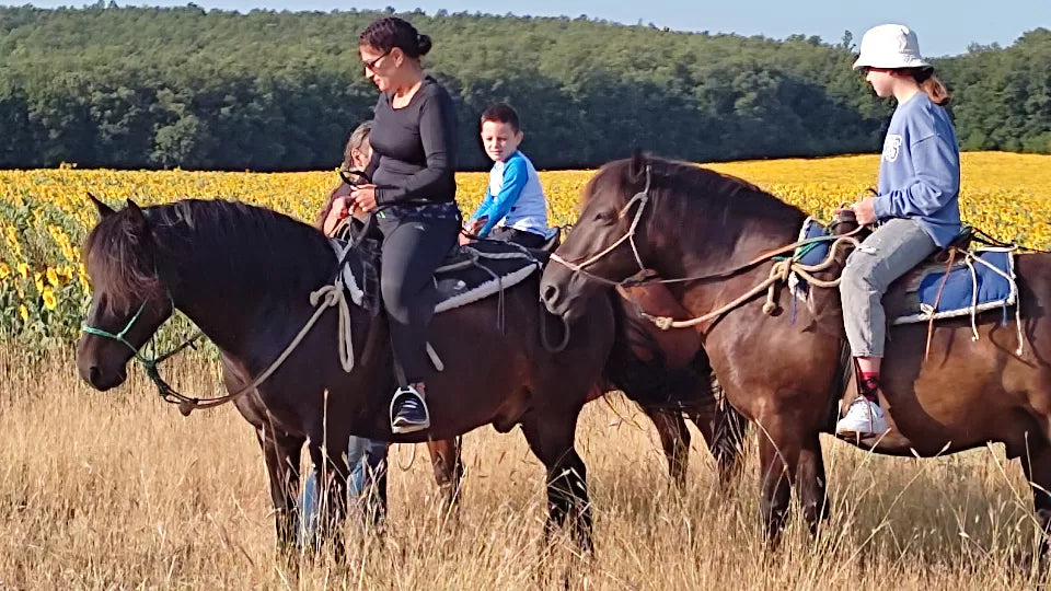 Horseback riding in Karpachevo – 1‑hour ride with 2‑night stay for two