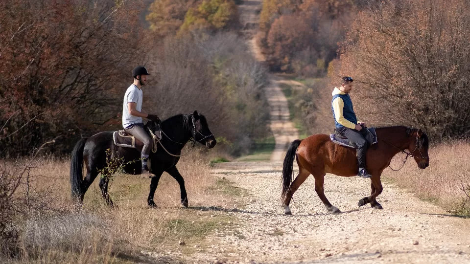 Trained horse and instructor for a calm ride in Karpachevo