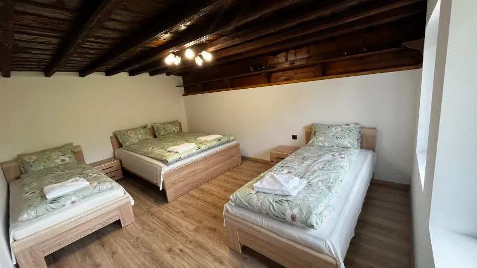 Guesthouse stay in Karpachevo with horseback riding for two