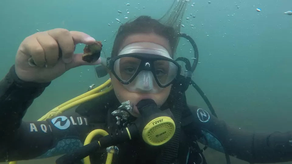 Guided birthday scuba dive near Nessebar with underwater photography