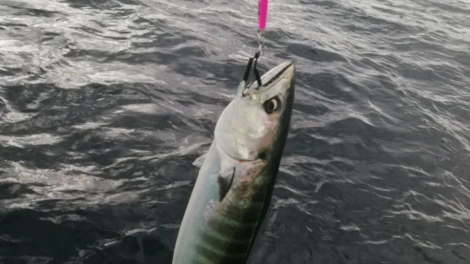 Gift voucher for a sea fishing trip in Sozopol